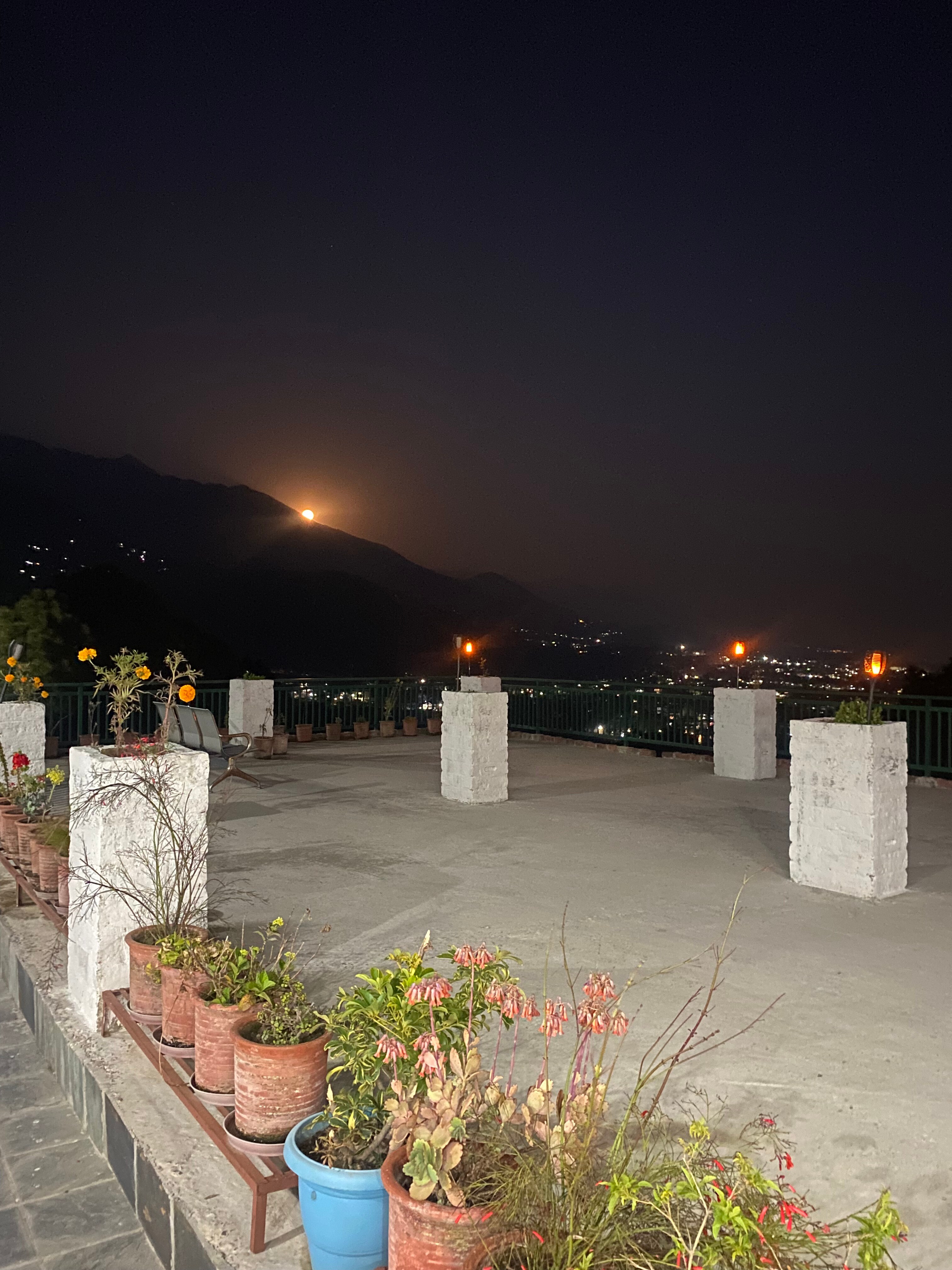 Anubhuti Palampur - Tap to explore photos