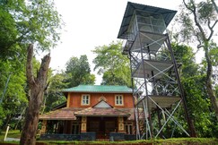 Cocoon Royale Wooden Villa