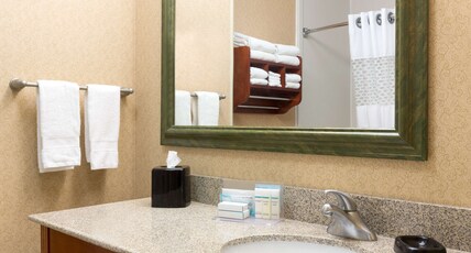 Hampton Inn Houston-Willowbrook Room Type - 1KING STUDY SOFABED NOSMOK