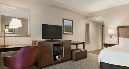 Hampton Inn by Hilton Penn Yan Room Type - 1 KING W SFBD NS