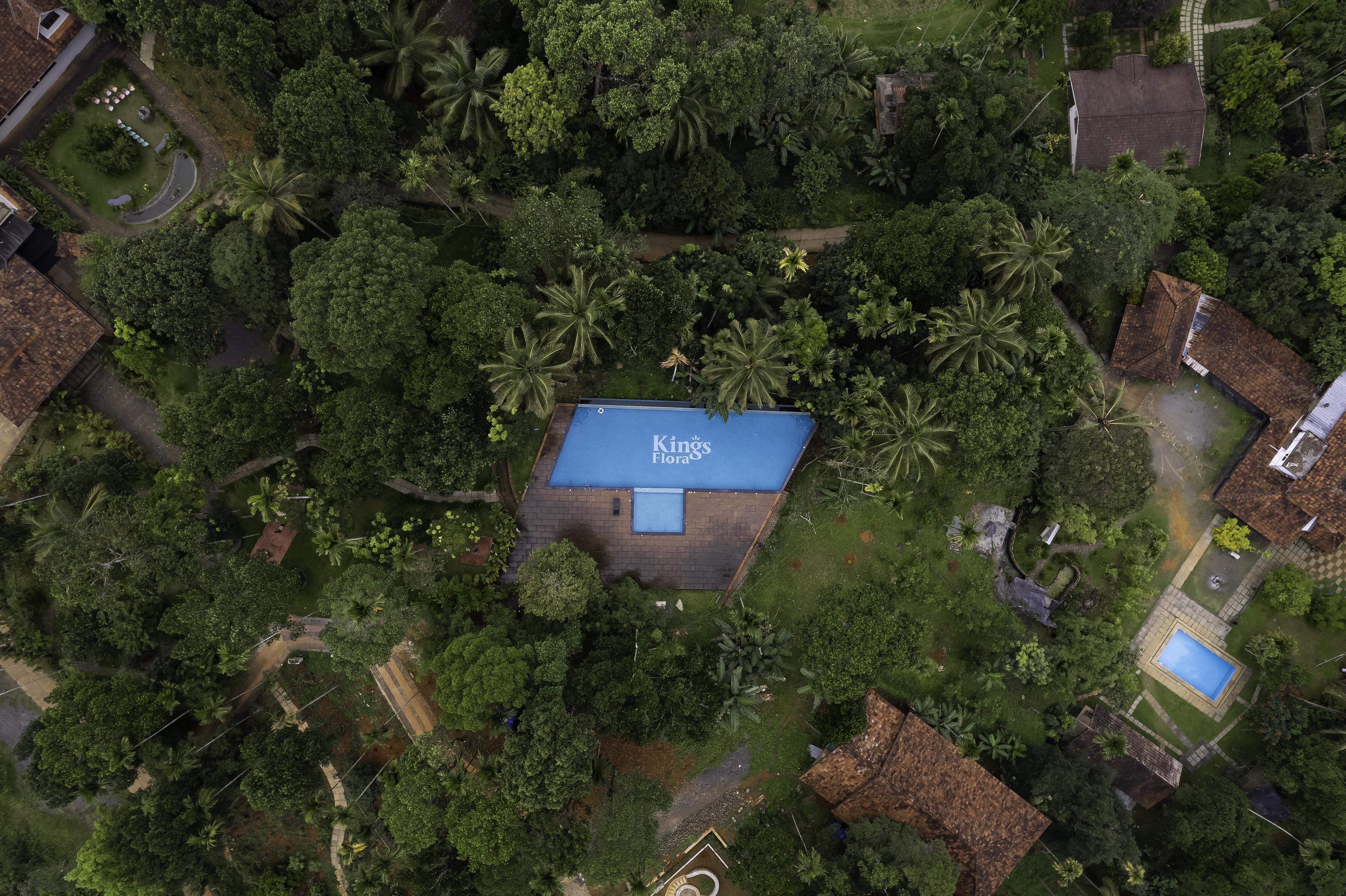 KING FLORA ORGANIC FARM RESORT - Tap to explore photos
