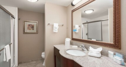 Hampton Inn Branson - Branson Hills Room Type - 1 KING BED NONSMOKING