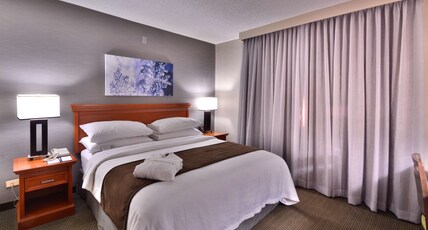 Embassy Suites Denver Stapleton Room Type - 1KG MOB HR ACC RI-S STE NS