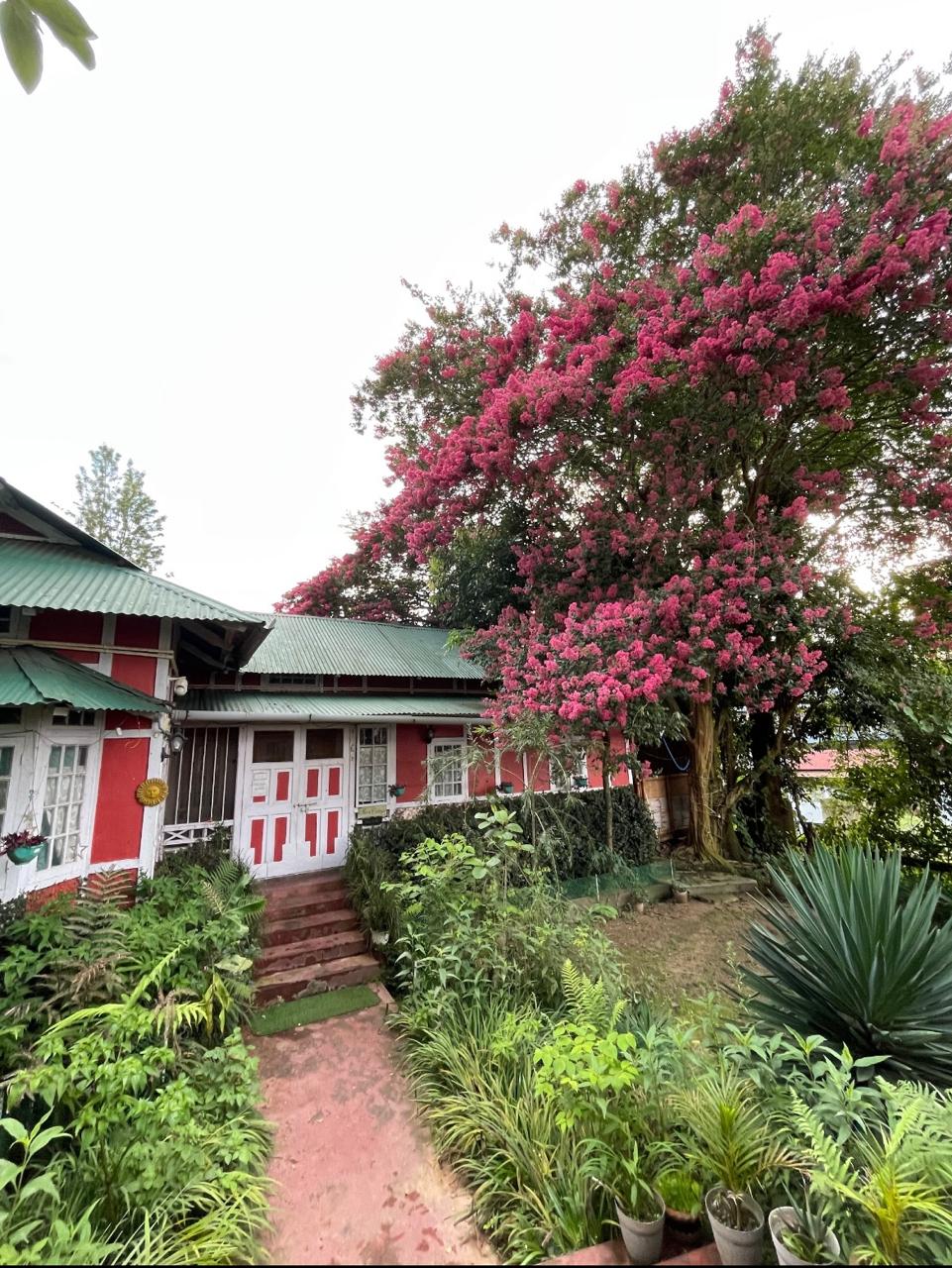 Dorms By Aura Cottage | 5 Mins From Police Bazar - Tap to explore photos