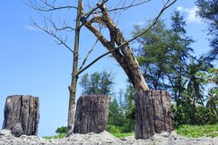 Nestle Sahyadri Beach front Homestay