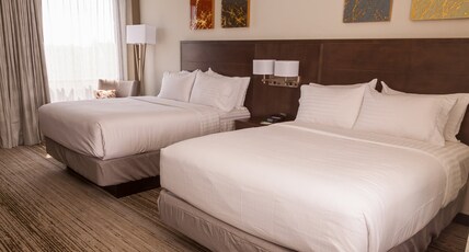 Holiday Inn ALEXANDRIA - DOWNTOWN Room Type - 2 Queen Standard