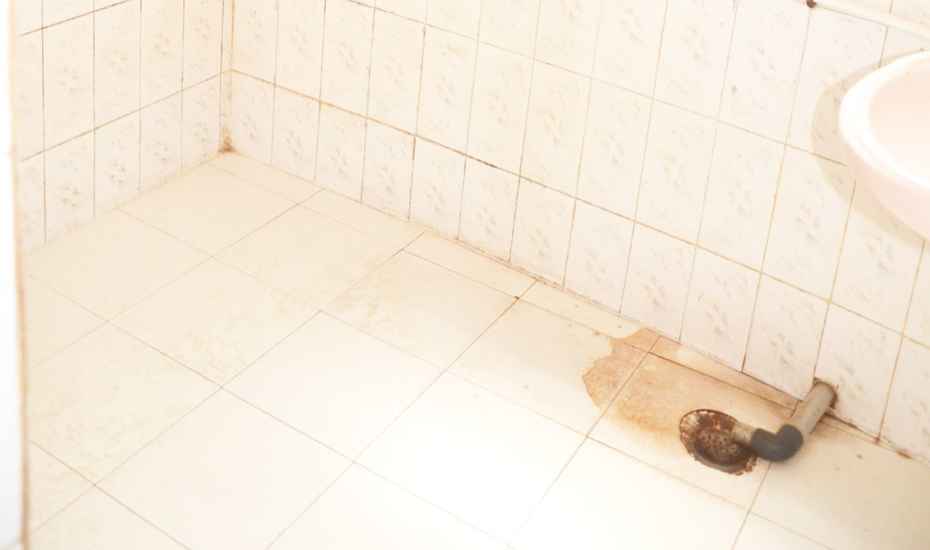 Hotel Mangala - Tap to explore photos