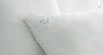 Royal Triples Room Type - AC Double Room