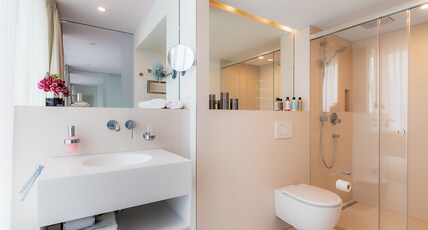 VISIONAPARTMENTS Basel Room Type - 1 Bedroom Apartment Junior Terrace
