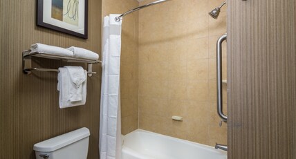 Holiday Inn ARLINGTON NE-RANGERS BALLPARK Room Type - 1 King Bed Standard Mobil Access Tub