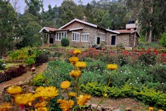 Springdale Villa