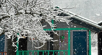 Asher Woods Room Type - Private Cottage with Mountain view