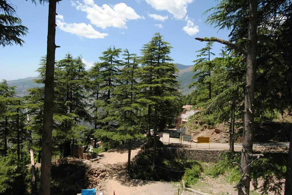 Aarav Villa, Patnitop - Tap to explore photos