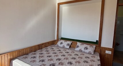 Dhami Homestay Room Type - Mountain View Room