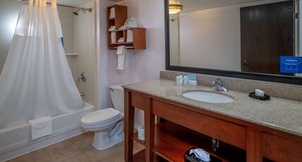 Hampton Inn by Hilton Charleston-Downtown Room Type - 1 KING REFRIG MICRO NOSMOK