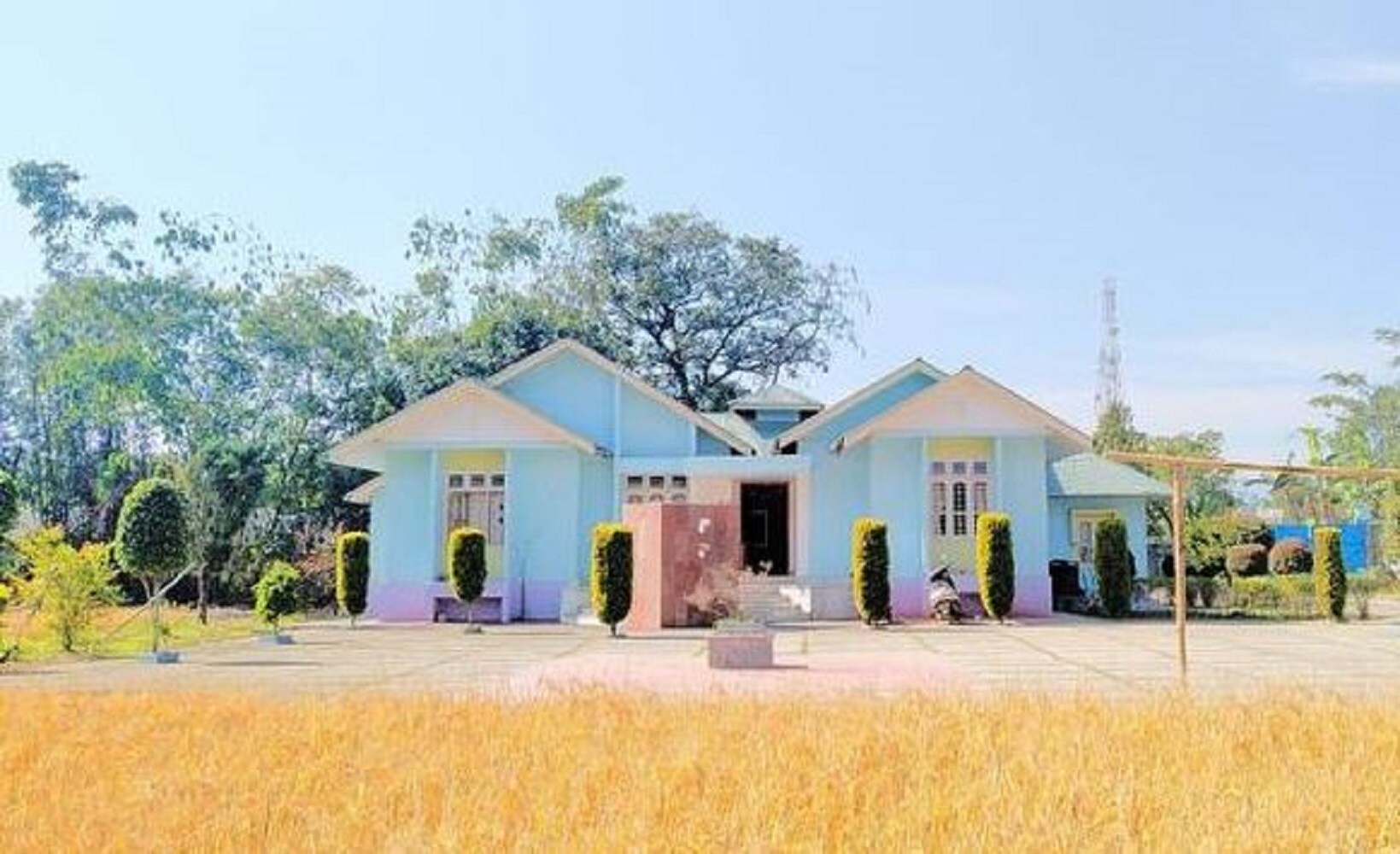 Main gallery