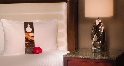 Hilton Minneapolis Room Type - JUNIOR SUITE 1 KING BED