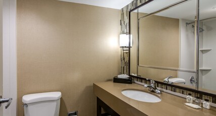 Crowne Plaza Resort ASHEVILLE Room Type - 1 King Standard Communications Mobility Accessible Tub Crowne Plaza Resort ASHEVILLE Room Type - 1 King Standard Communications Mobility Accessible Tub