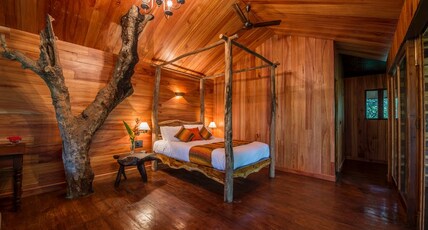Pepper Trail Room Type - Woodpecker Tree House with Balcony