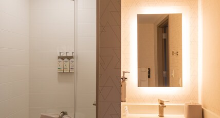 Holiday Inn Express NEW ROCHELLE Room Type - 1 King Standard