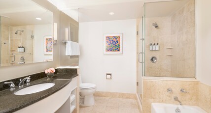 InterContinental CLEVELAND Room Type - 1 King Junior Suite Walk In Shower