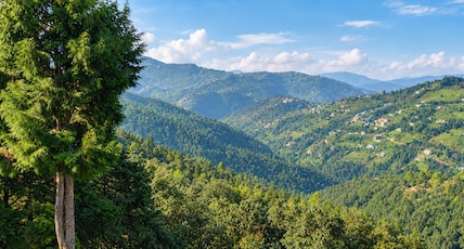 The Mukteshwar Inn Resort Room Type - Luxury Room with Mountain valley view The Mukteshwar Inn Resort Room Type - Luxury Room with Mountain valley view