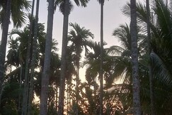 Gold Coast Resort, Diglipur