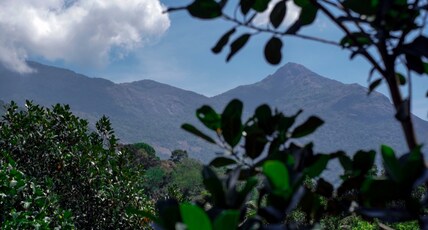 Mithra Munnar Treehouse and Rooms Room Type - Hill View Deluxe Room with Balcony