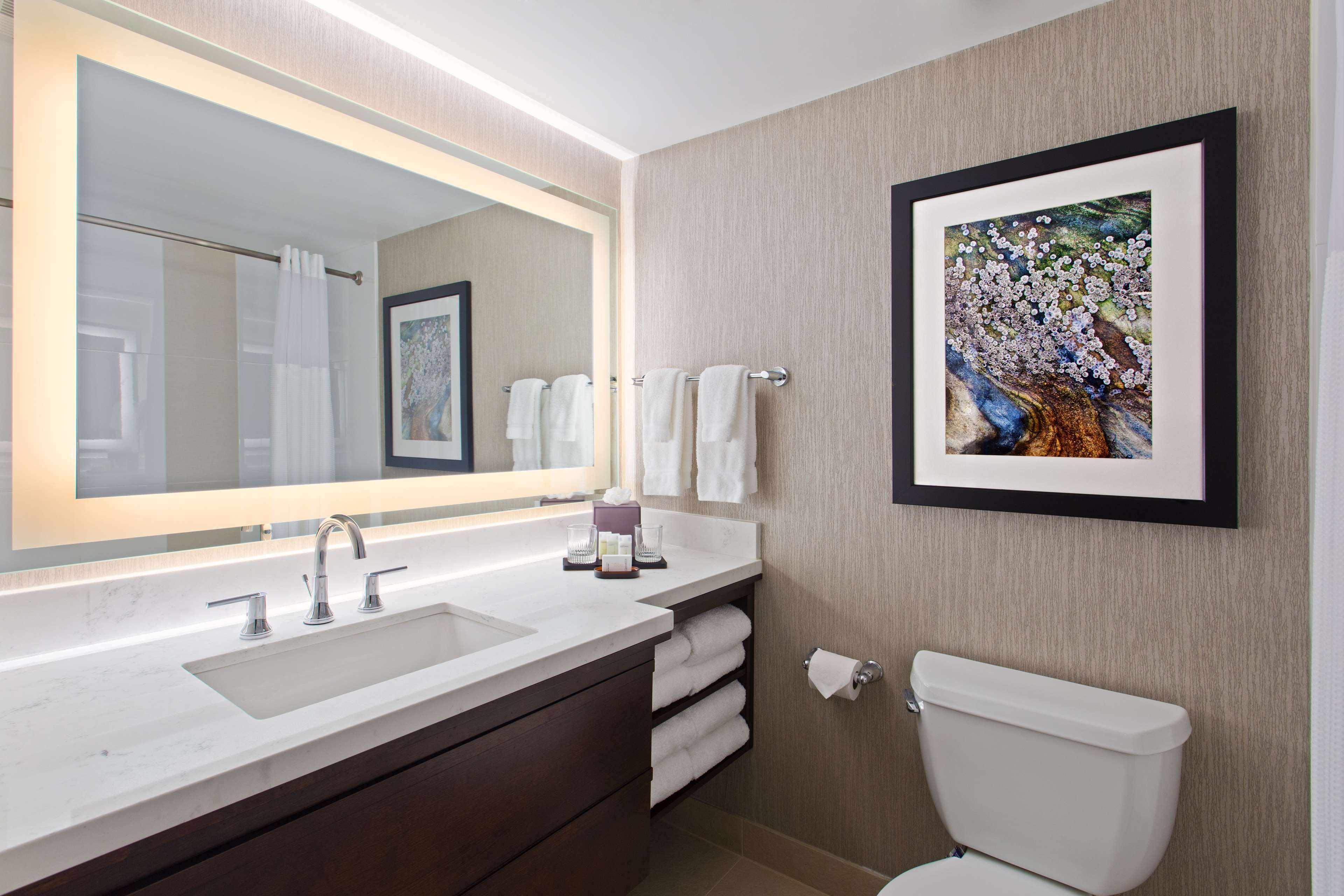 Embassy Suites by Hilton Orlando International Dr Conv Ctr - Tap to explore photos