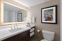 Embassy Suites by Hilton Orlando International Dr Conv Ctr