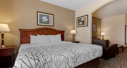 Best Western Plus Sweetwater Inn & Suites Room Type - SUITE-1 KING BED,NSMK,SOFBD,WIFI,COFMKR,MICRFG,FULL BREAKFAST Best Western Plus Sweetwater Inn & Suites Room Type - SUITE-1 KING BED,NSMK,SOFBD,WIFI,COFMKR,MICRFG,FULL BREAKFAST