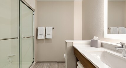 Holiday Inn Express & Suites HAYWARD Room Type - 1 King Suite