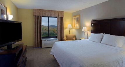 Hampton Inn by Hilton Bennington Room Type - 1 KING SHOWER ONLY NONSMOK