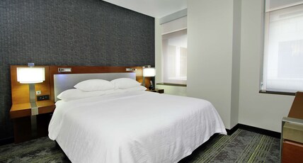 Embassy Suites Pittsburgh-Downtown Room Type - 1 KING STE ACC RI SHWR