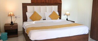 Jungle Vibes - Ranthambore