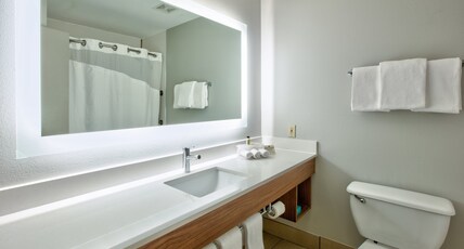 Holiday Inn Express HOPE Room Type - 1 King Bed Standard Sofa Bed