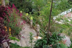 Barbet Homestay@Kitam Bird Sanctuary, South Sikkim