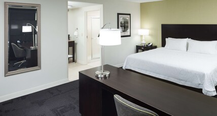 Hampton Inn & Suites Gainesville Downtown Room Type - 1KNG STUDIO SOFABED NOSMOK