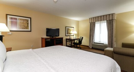Hampton Inn & Suites Detroit/Chesterfield Township Room Type - 1 KING BED STD W  SFBD NS