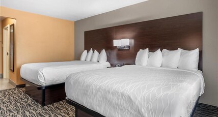 Best Western Plus Denton Inn & Suites Room Type - 2 Queen Beds, Non-Smoking, Microwave And Refrigerator, Wi-Fi, Full Breakfast Best Western Plus Denton Inn & Suites Room Type - 2 Queen Beds, Non-Smoking, Microwave And Refrigerator, Wi-Fi, Full Breakfast