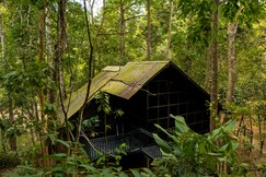 Ranches Jungle Beats Resorts