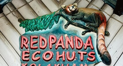 Red Panda Eco Huts, Kolakham Room Type - Red Panda Eco Huts, Kolakham