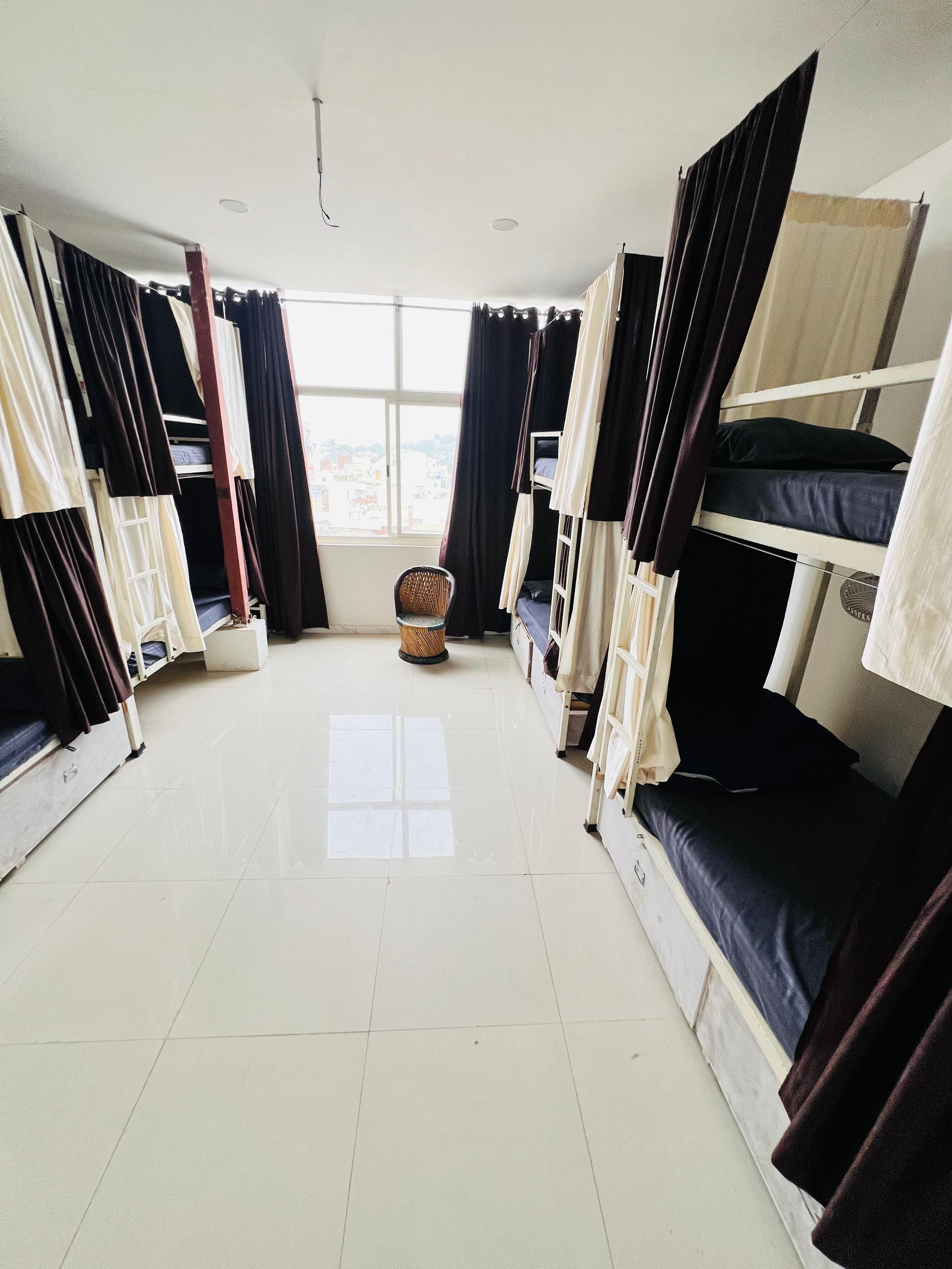Mild Life Hostel Udaipur |250 Metres from Ambrai Ghat - Tap to explore photos