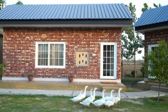 Rustic Roots Farmhouse