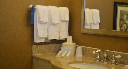 Hilton Garden Inn Houston Pearland Room Type - 1 KING BED JR SUITE