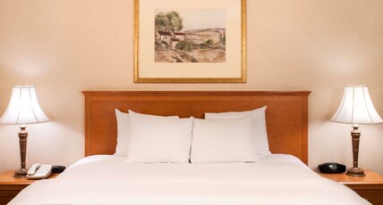 Hampton Inn & Suites by Hilton Addison Room Type - 1 KING STUDIO STE NONSMOK