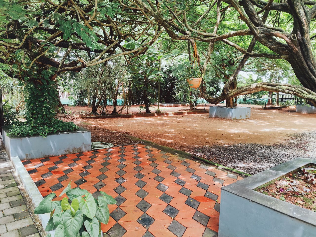 Hemera Kochi Tree Cabin - Tap to explore photos