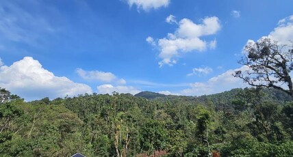 Vintara homestay Coorg Room Type - Vintara homestay Coorg