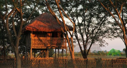 Dhansiri Eco Camp Room Type - Cottage Room
