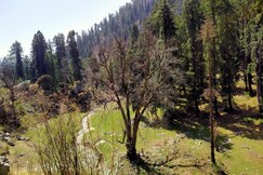 The Vinshar Bagha Sarahan